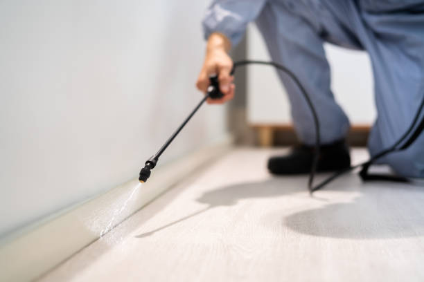 Bed Bug Pre-Treatment Preparation Assessment in Fairless Hills