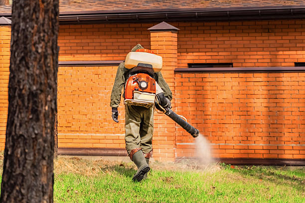 Bed Bug Clearance Verification and Documentation in Fairless Hills